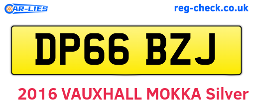 DP66BZJ are the vehicle registration plates.