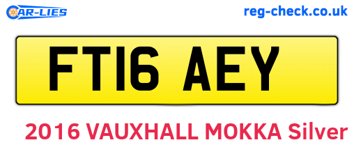FT16AEY are the vehicle registration plates.