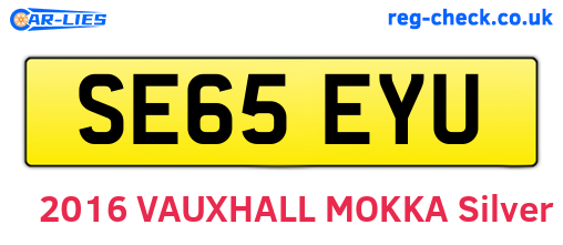 SE65EYU are the vehicle registration plates.