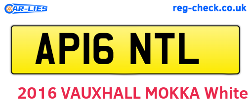 AP16NTL are the vehicle registration plates.