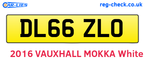 DL66ZLO are the vehicle registration plates.