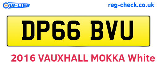 DP66BVU are the vehicle registration plates.