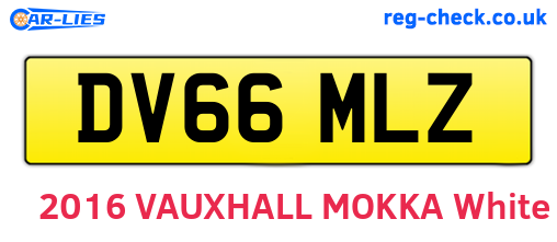 DV66MLZ are the vehicle registration plates.