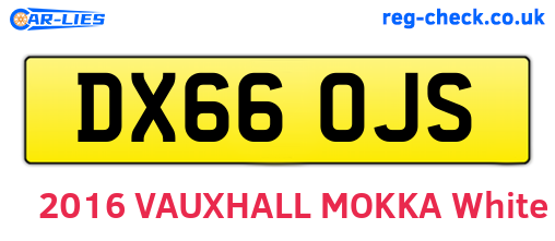 DX66OJS are the vehicle registration plates.