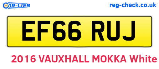 EF66RUJ are the vehicle registration plates.