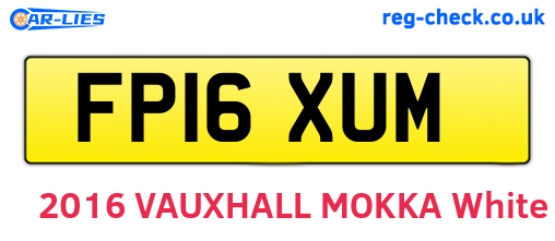 FP16XUM are the vehicle registration plates.
