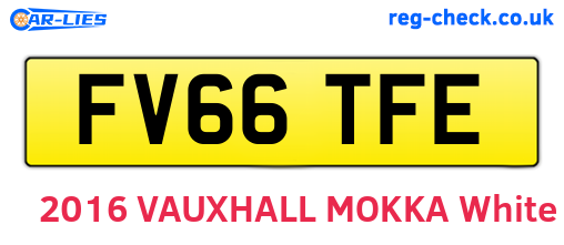 FV66TFE are the vehicle registration plates.