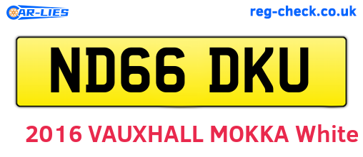 ND66DKU are the vehicle registration plates.