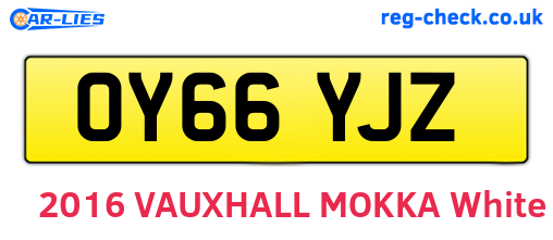 OY66YJZ are the vehicle registration plates.