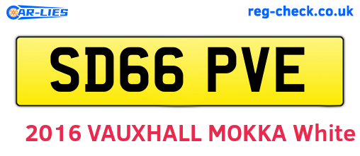 SD66PVE are the vehicle registration plates.