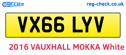 VX66LYV are the vehicle registration plates.