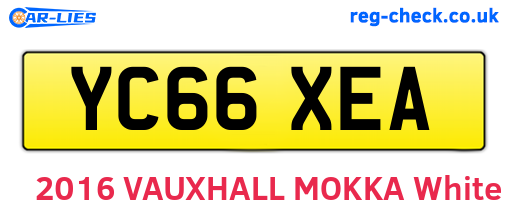 YC66XEA are the vehicle registration plates.
