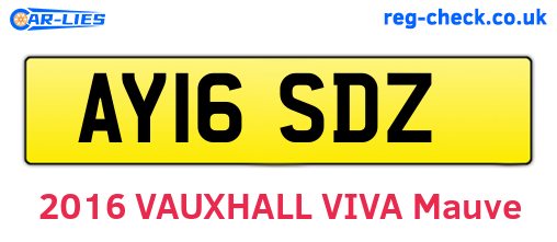 AY16SDZ are the vehicle registration plates.