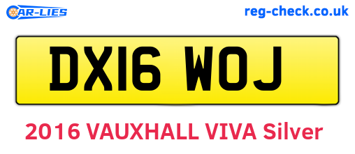 DX16WOJ are the vehicle registration plates.