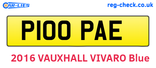 P100PAE are the vehicle registration plates.