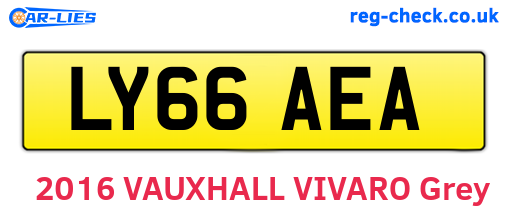 LY66AEA are the vehicle registration plates.