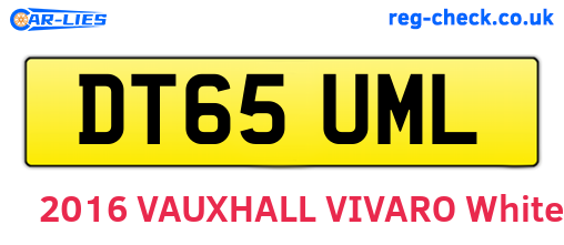 DT65UML are the vehicle registration plates.