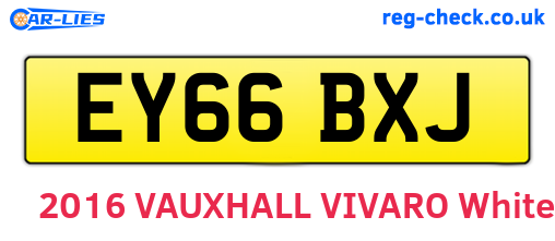 EY66BXJ are the vehicle registration plates.