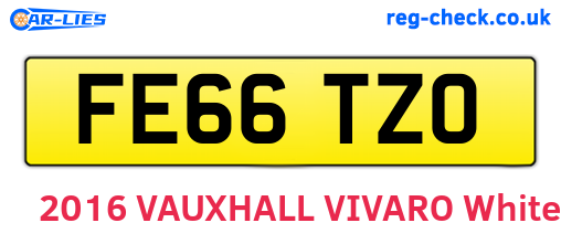 FE66TZO are the vehicle registration plates.