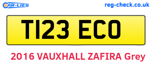 T123ECO are the vehicle registration plates.