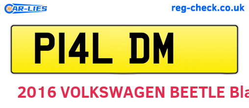 P14LDM are the vehicle registration plates.