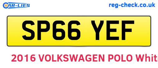 SP66YEF are the vehicle registration plates.