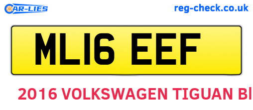 ML16EEF are the vehicle registration plates.