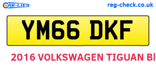YM66DKF are the vehicle registration plates.