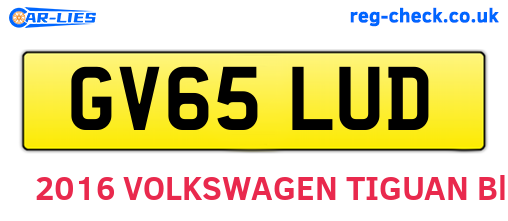 GV65LUD are the vehicle registration plates.