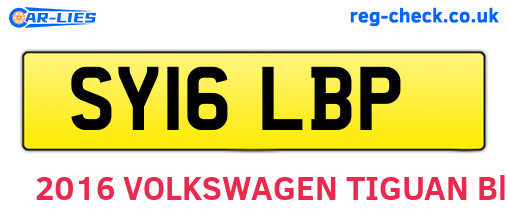 SY16LBP are the vehicle registration plates.