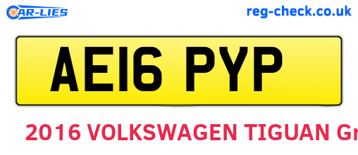AE16PYP are the vehicle registration plates.