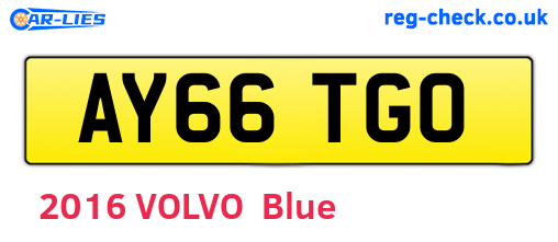 AY66TGO are the vehicle registration plates.