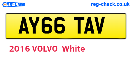 AY66TAV are the vehicle registration plates.