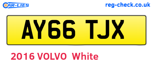 AY66TJX are the vehicle registration plates.