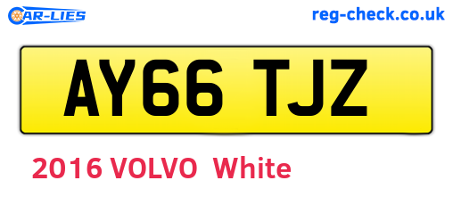 AY66TJZ are the vehicle registration plates.