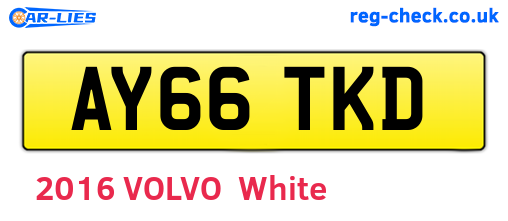 AY66TKD are the vehicle registration plates.