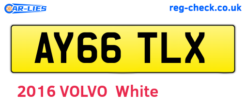 AY66TLX are the vehicle registration plates.
