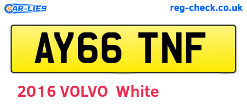AY66TNF are the vehicle registration plates.