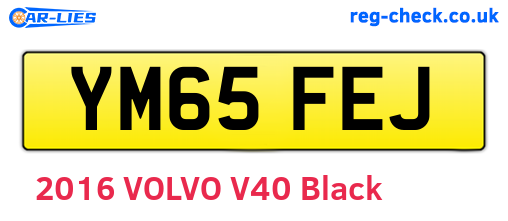 YM65FEJ are the vehicle registration plates.