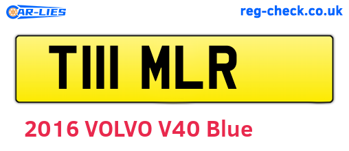 T111MLR are the vehicle registration plates.