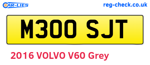 M300SJT are the vehicle registration plates.
