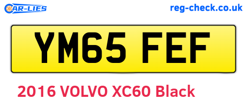 YM65FEF are the vehicle registration plates.