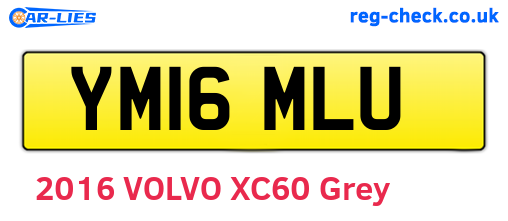 YM16MLU are the vehicle registration plates.