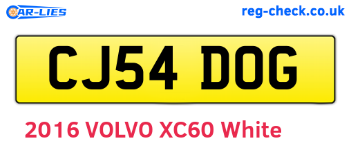 CJ54DOG are the vehicle registration plates.