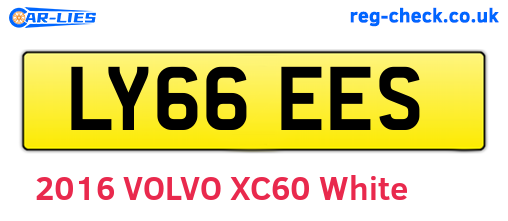 LY66EES are the vehicle registration plates.