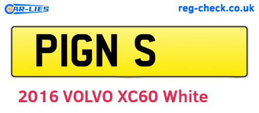 P1GNS are the vehicle registration plates.