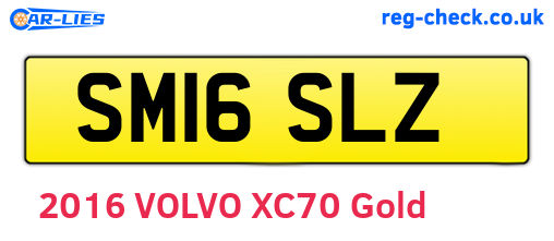 SM16SLZ are the vehicle registration plates.