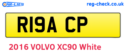 R19ACP are the vehicle registration plates.