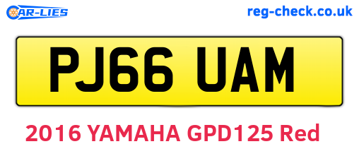 PJ66UAM are the vehicle registration plates.