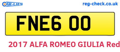 FNE600 are the vehicle registration plates.